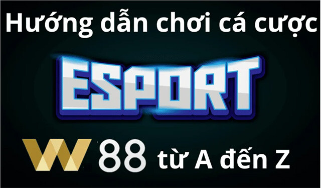 Hướng dẫn chơi cá cược thể thao tại  W88